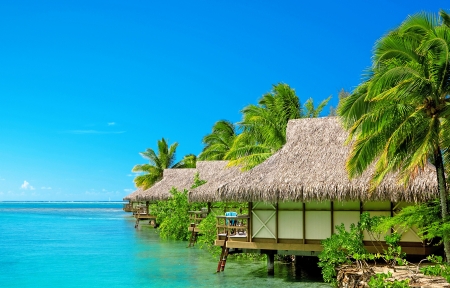 娱乐圈明星动态